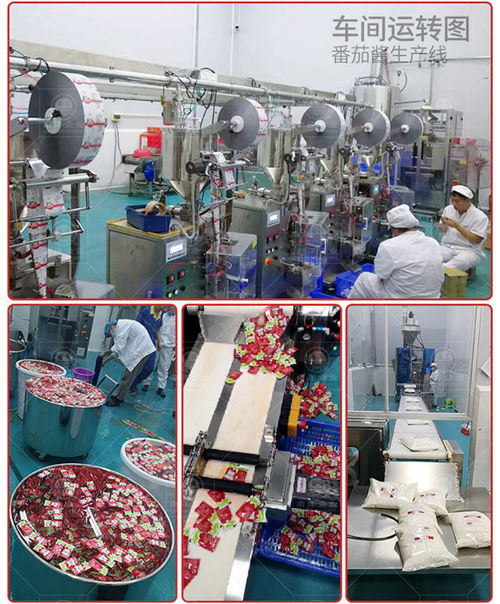 河池调味酱加工设备多少钱推荐 广州南洋食品机械